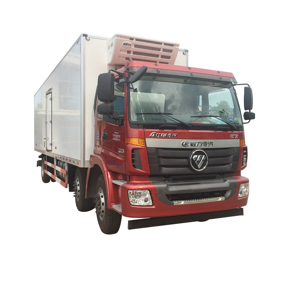 Foto Camion frigorifero da 15 tonnellate
