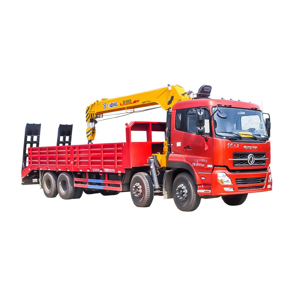 Camion con gru a pianale ribassato a 12 ruote