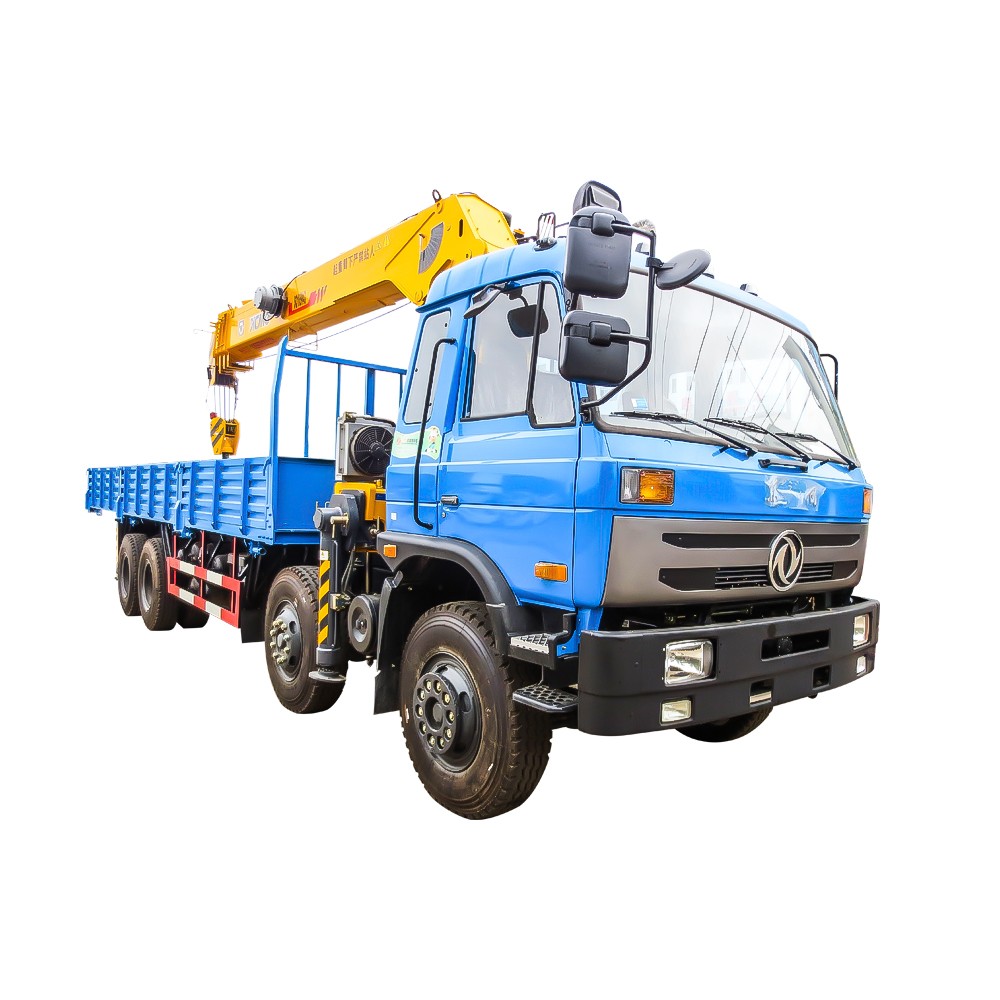 Camion a 12 ruote con gru da 10 tonnellate